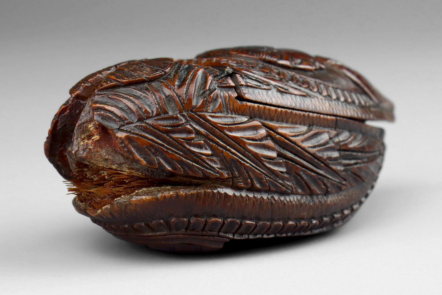 Coquilla Nut Snuff Box