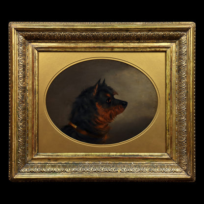 Portrait of a Black & Tan Terrier