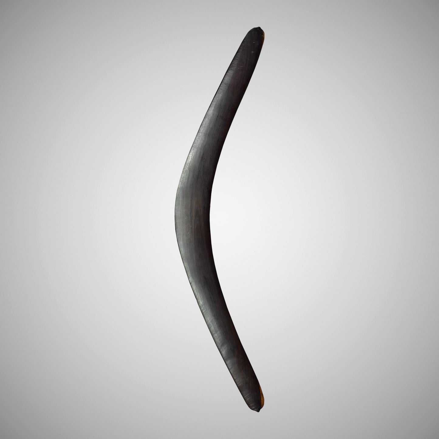 Darling River Boomerang