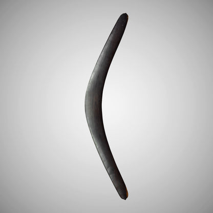 Darling River Boomerang