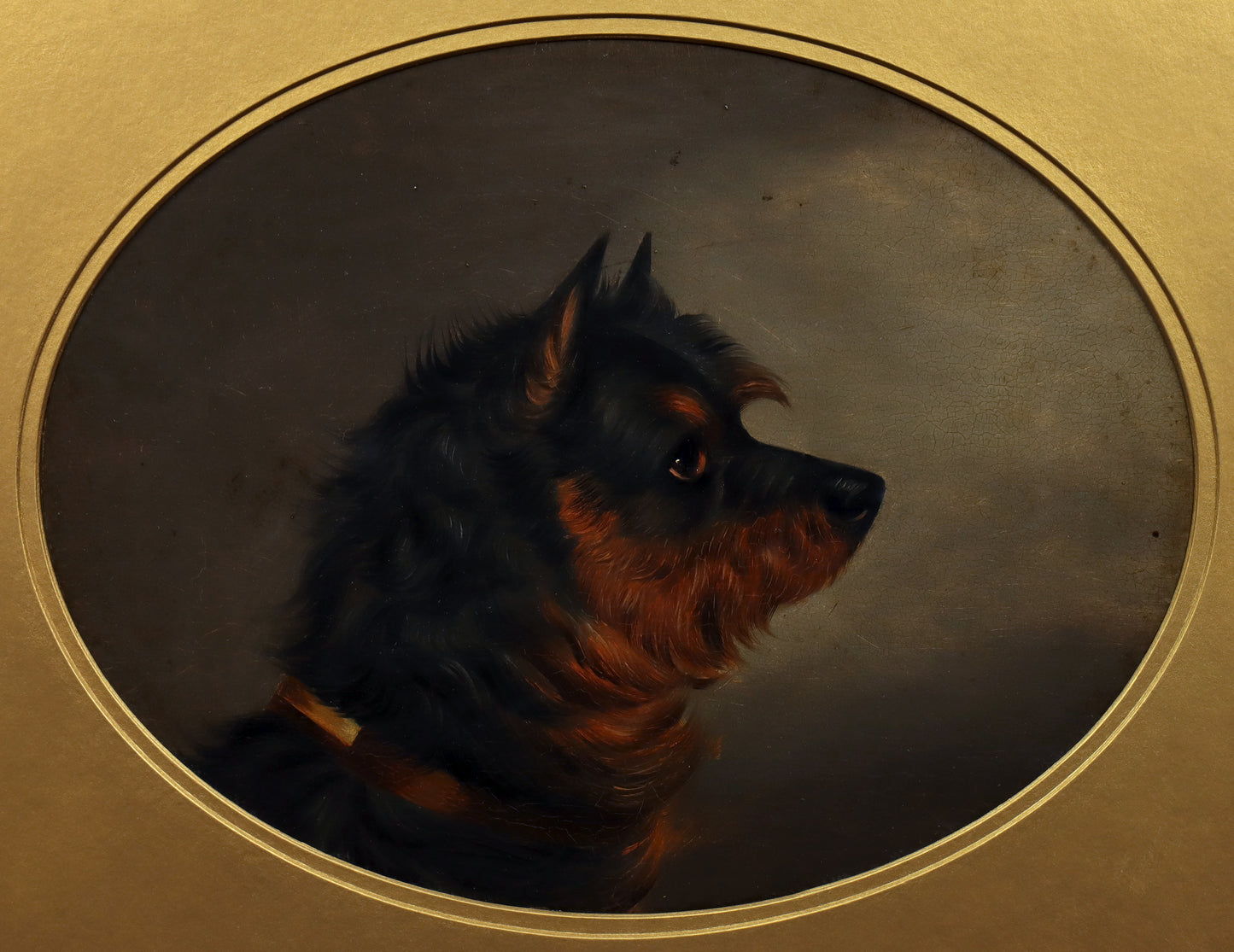 Portrait of a Black & Tan Terrier