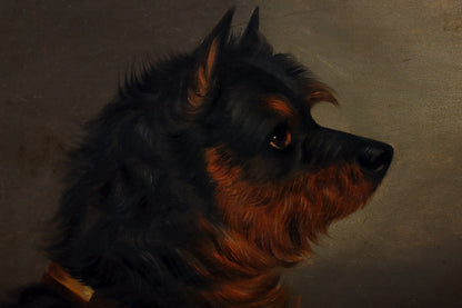 Portrait of a Black & Tan Terrier