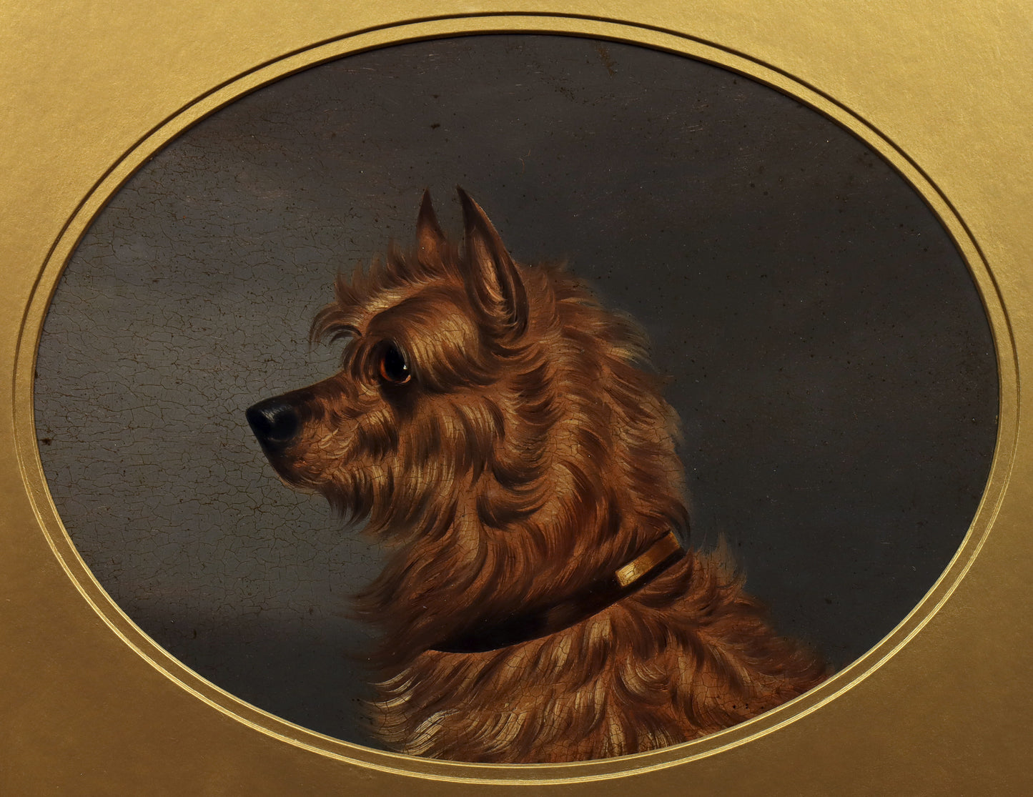 Portrait of a Tan Terrier