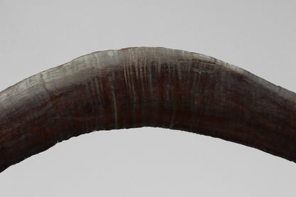 Boomerang