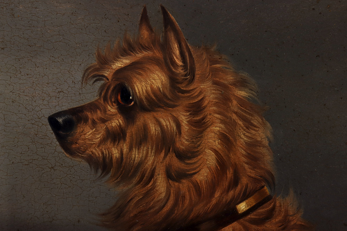 Portrait of a Tan Terrier