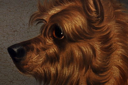 Portrait of a Tan Terrier