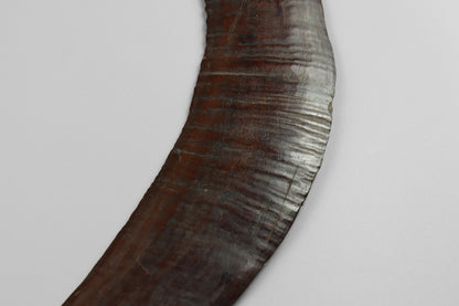 Boomerang
