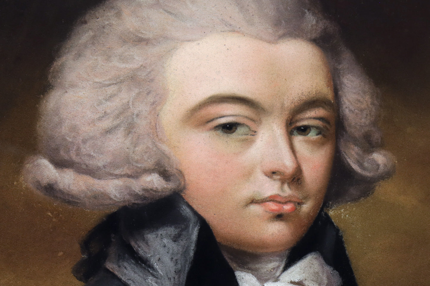 Portrait of a Handsome Young Gentleman