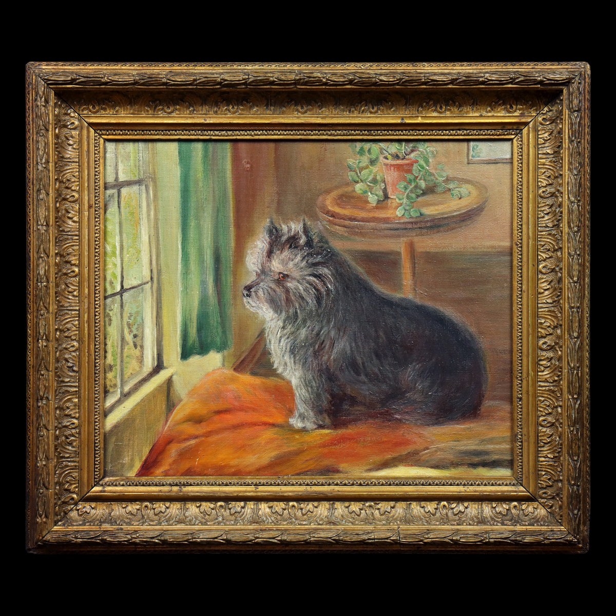 Portrait of a Terrier