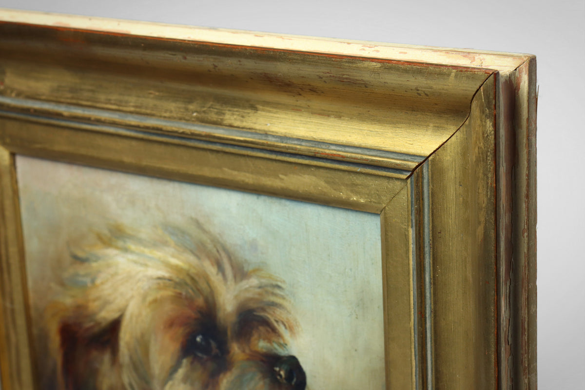 Portrait of a Terrier by Florence Wolsey