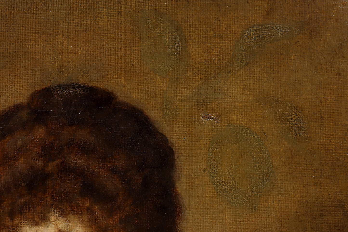 Portrait of a Lady