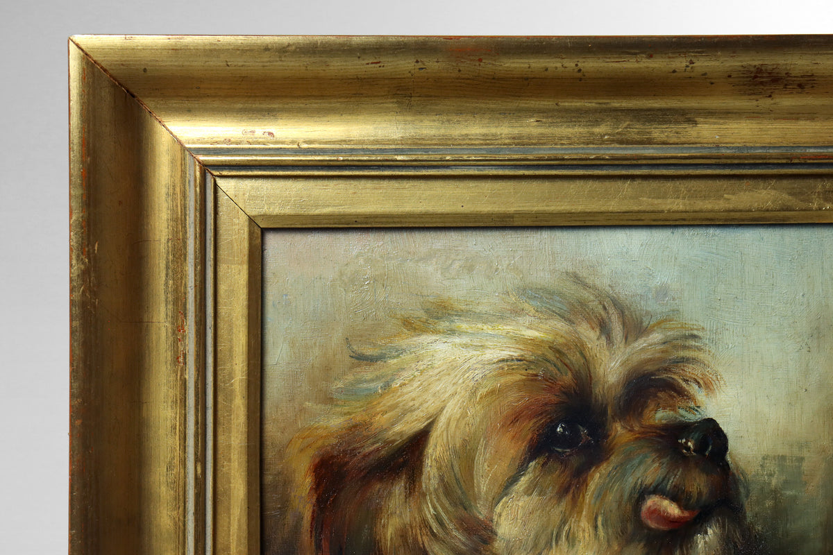 Portrait of a Terrier by Florence Wolsey