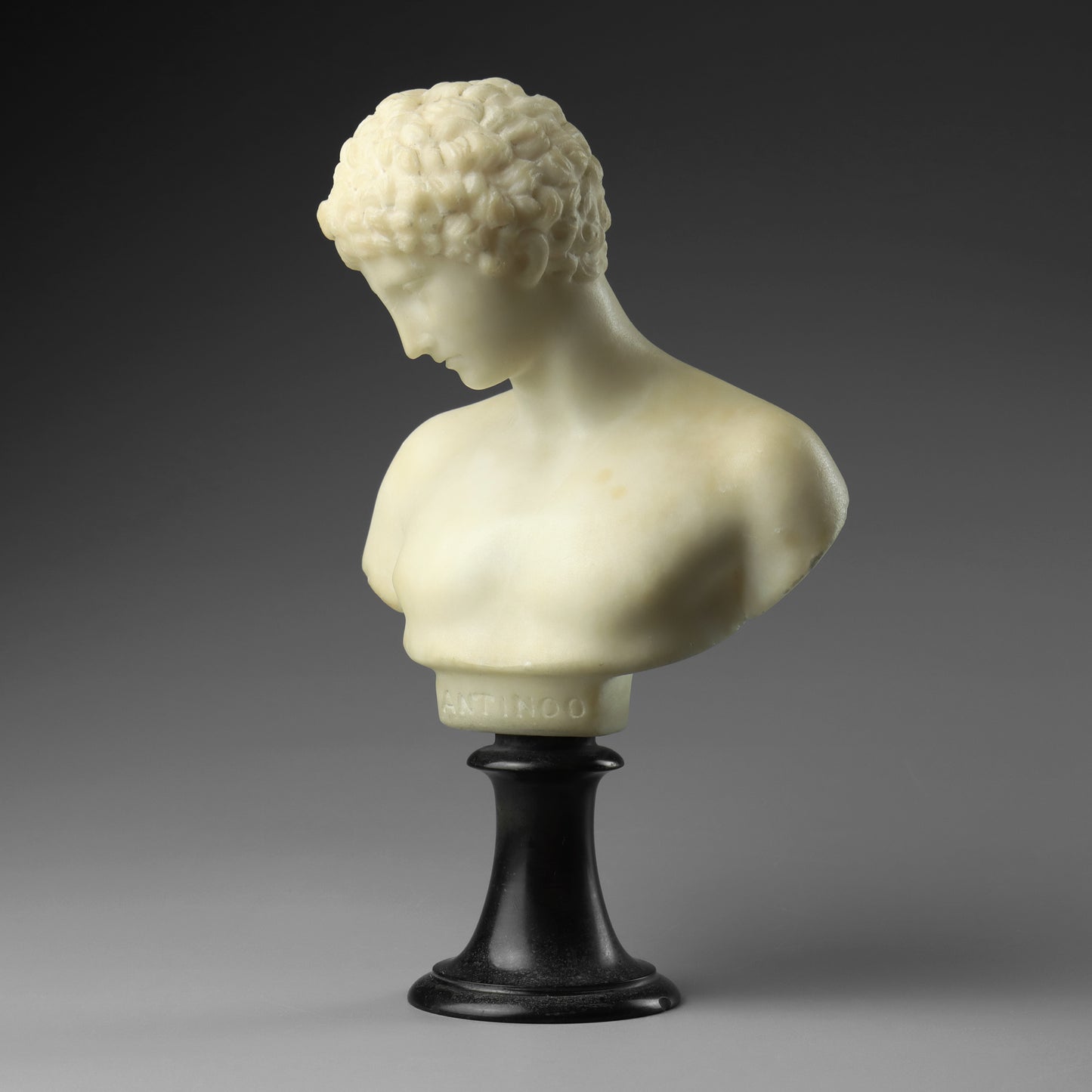 Alabaster Bust of The Capitoline Antinous