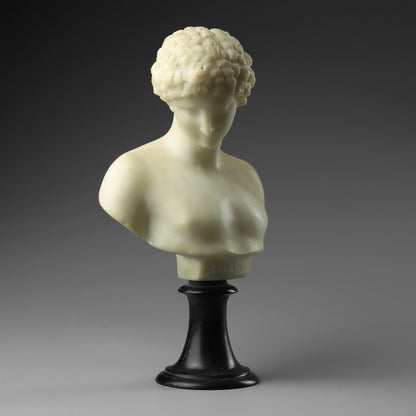 Alabaster Bust of The Capitoline Antinous