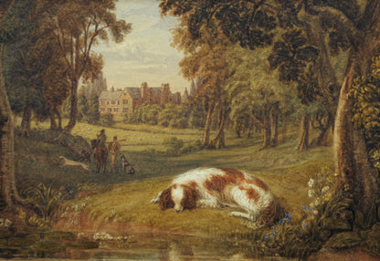 Spaniel in Landscape