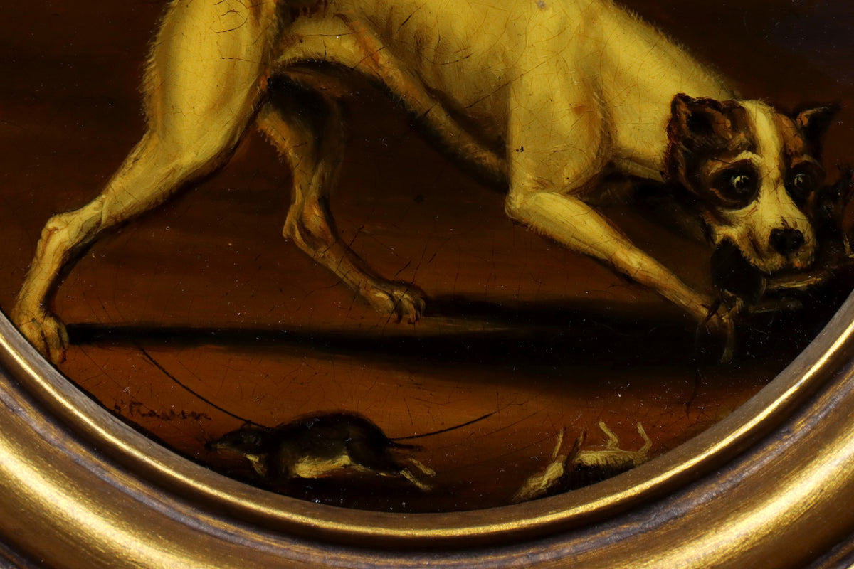 Portrait of a Terrier by Samuel Raven