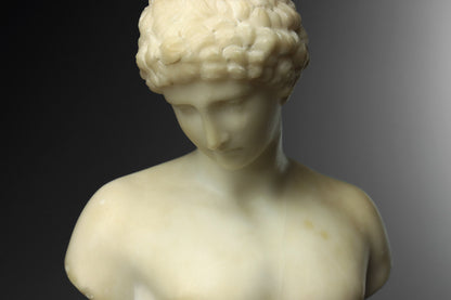 Alabaster Bust of The Capitoline Antinous