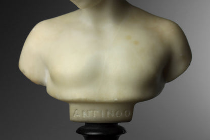 Alabaster Bust of The Capitoline Antinous