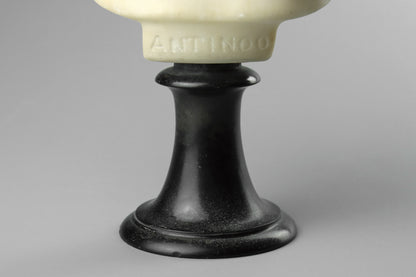 Alabaster Bust of The Capitoline Antinous