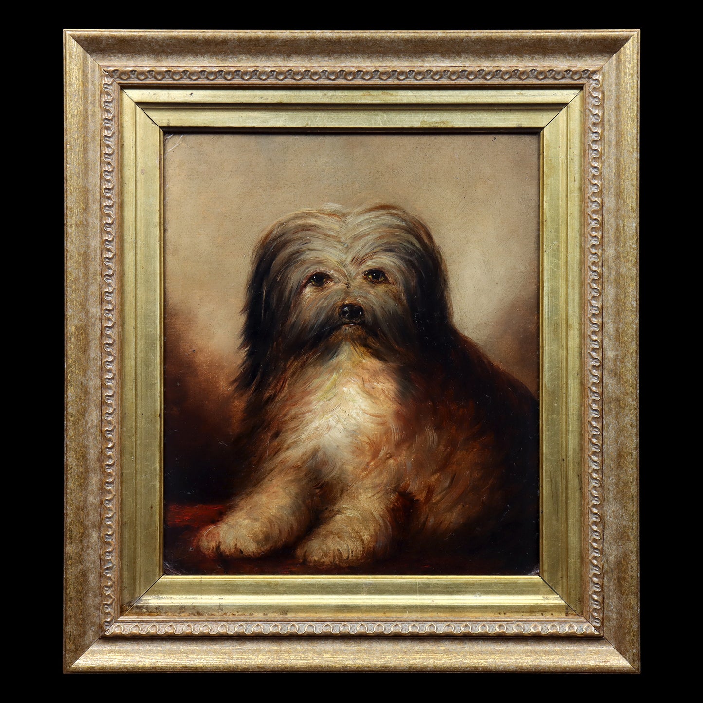 Portrait of a Long-Haired Terrier