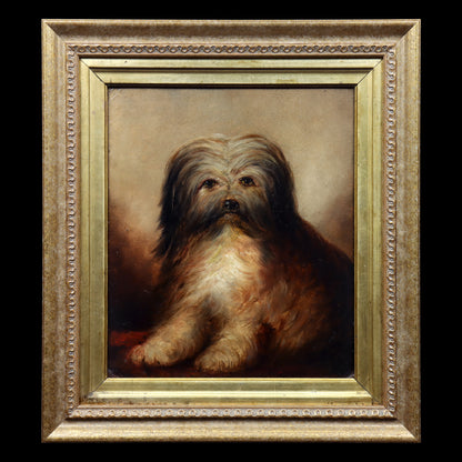 Portrait of a Long-Haired Terrier