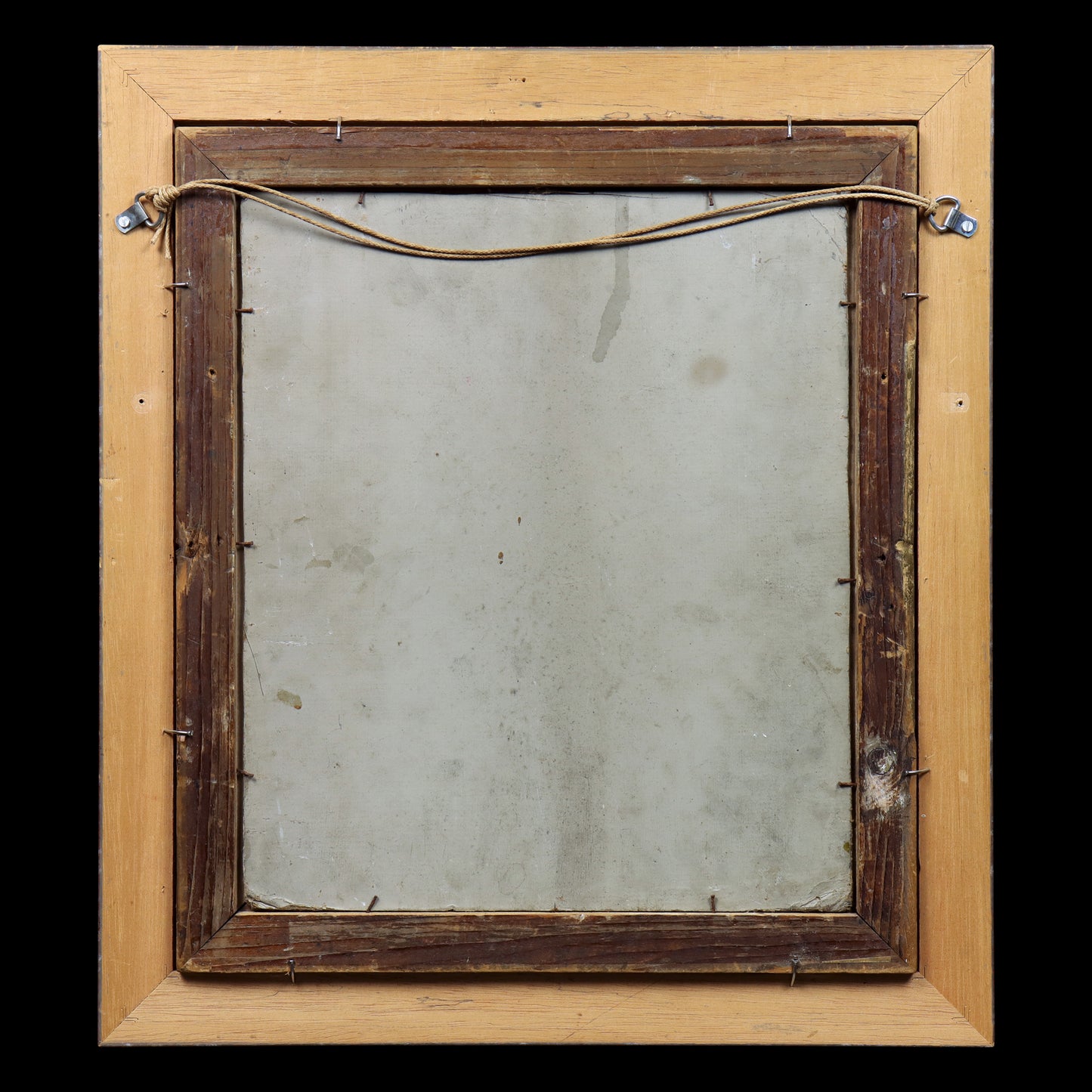 Portrait of a Long-Haired Terrier