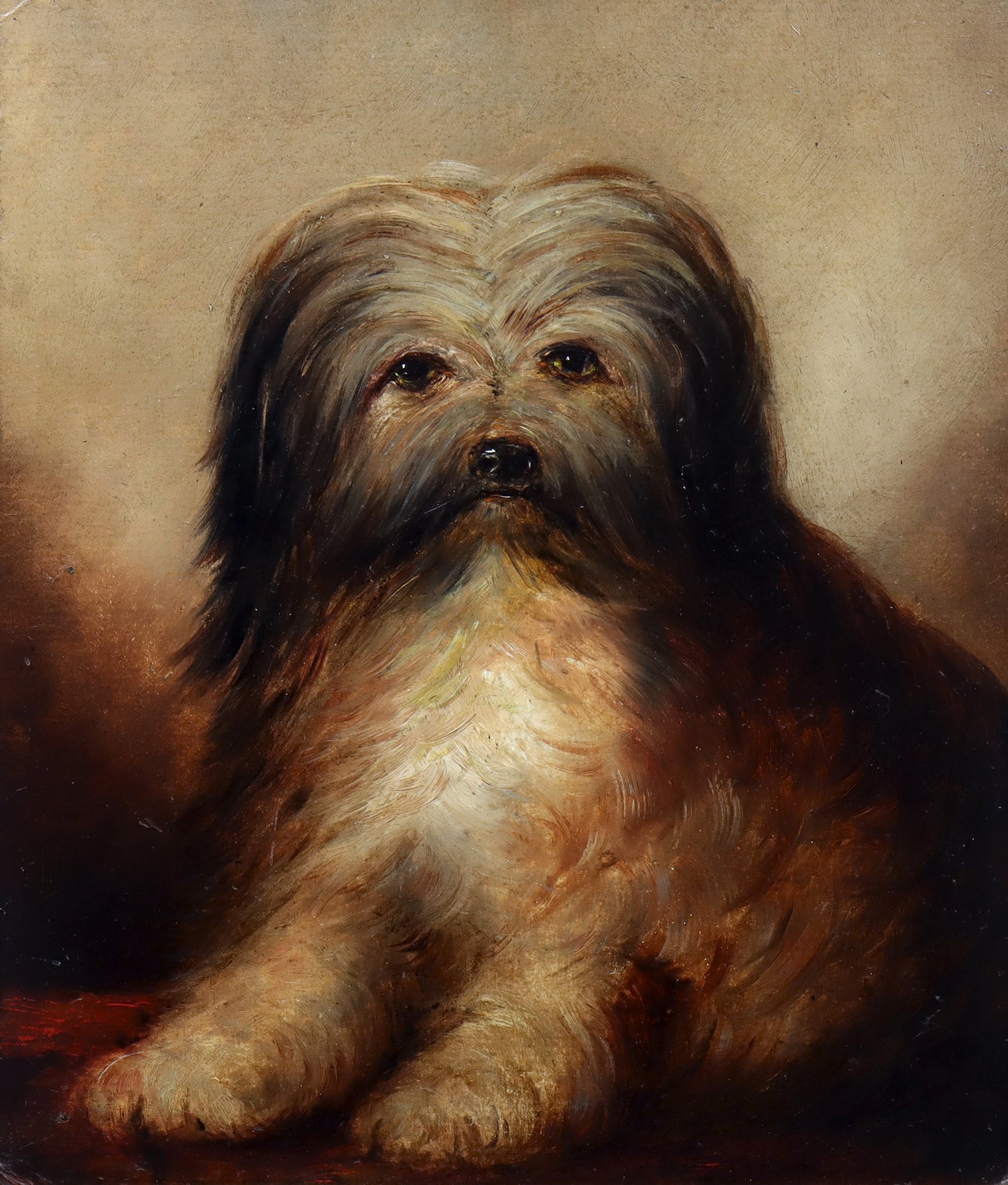 Portrait of a Long-Haired Terrier
