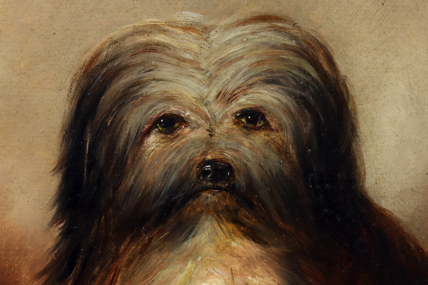 Portrait of a Long-Haired Terrier