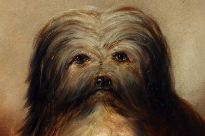 Portrait of a Long-Haired Terrier
