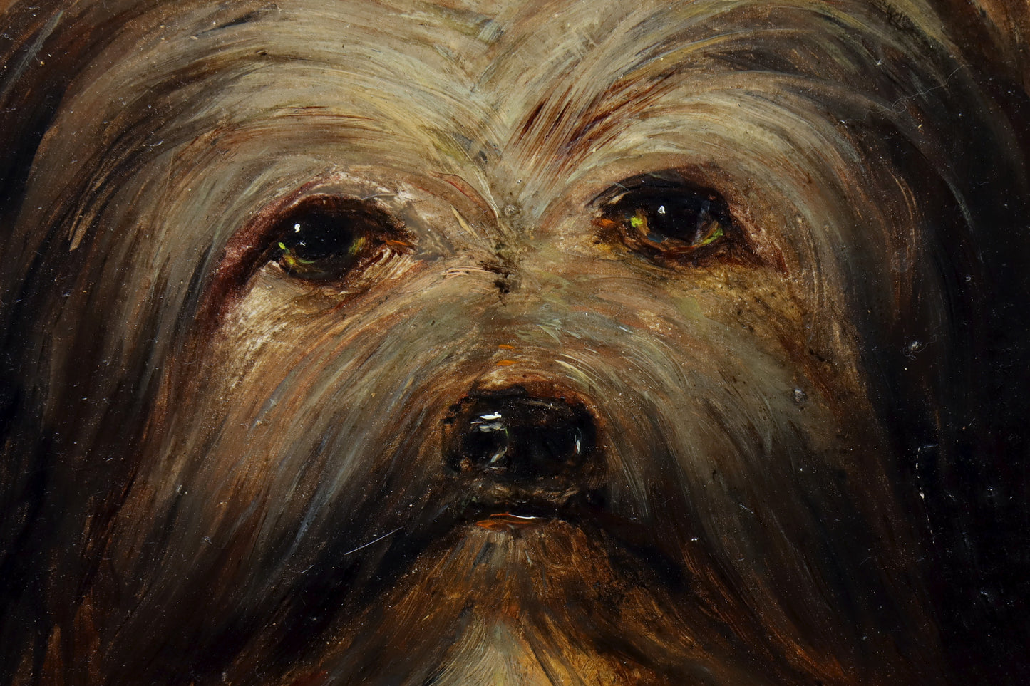 Portrait of a Long-Haired Terrier