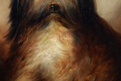Portrait of a Long-Haired Terrier