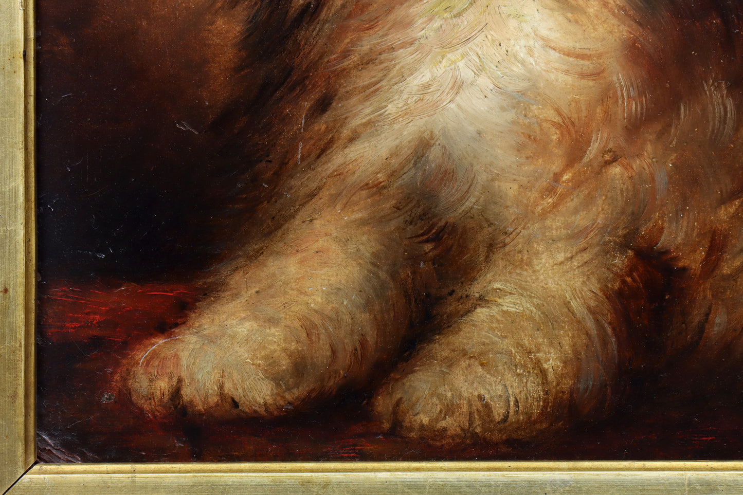 Portrait of a Long-Haired Terrier