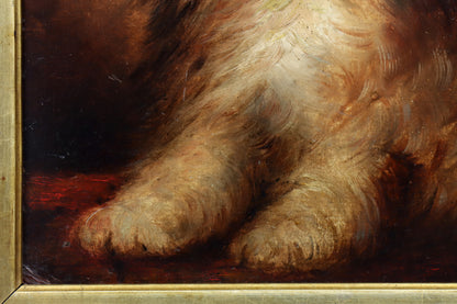 Portrait of a Long-Haired Terrier