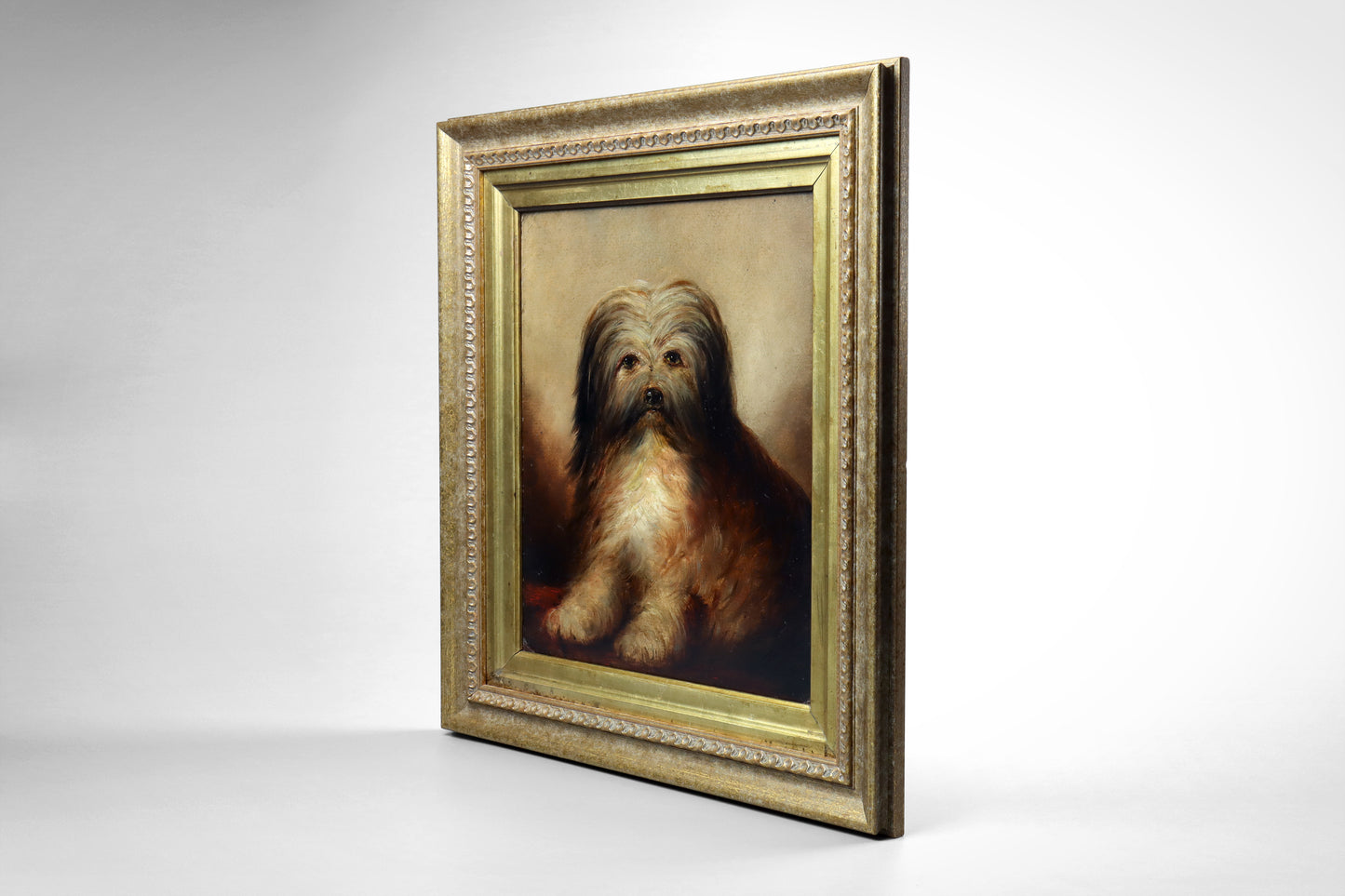 Portrait of a Long-Haired Terrier