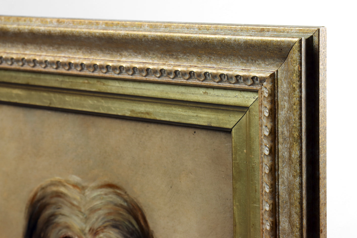 Portrait of a Long-Haired Terrier