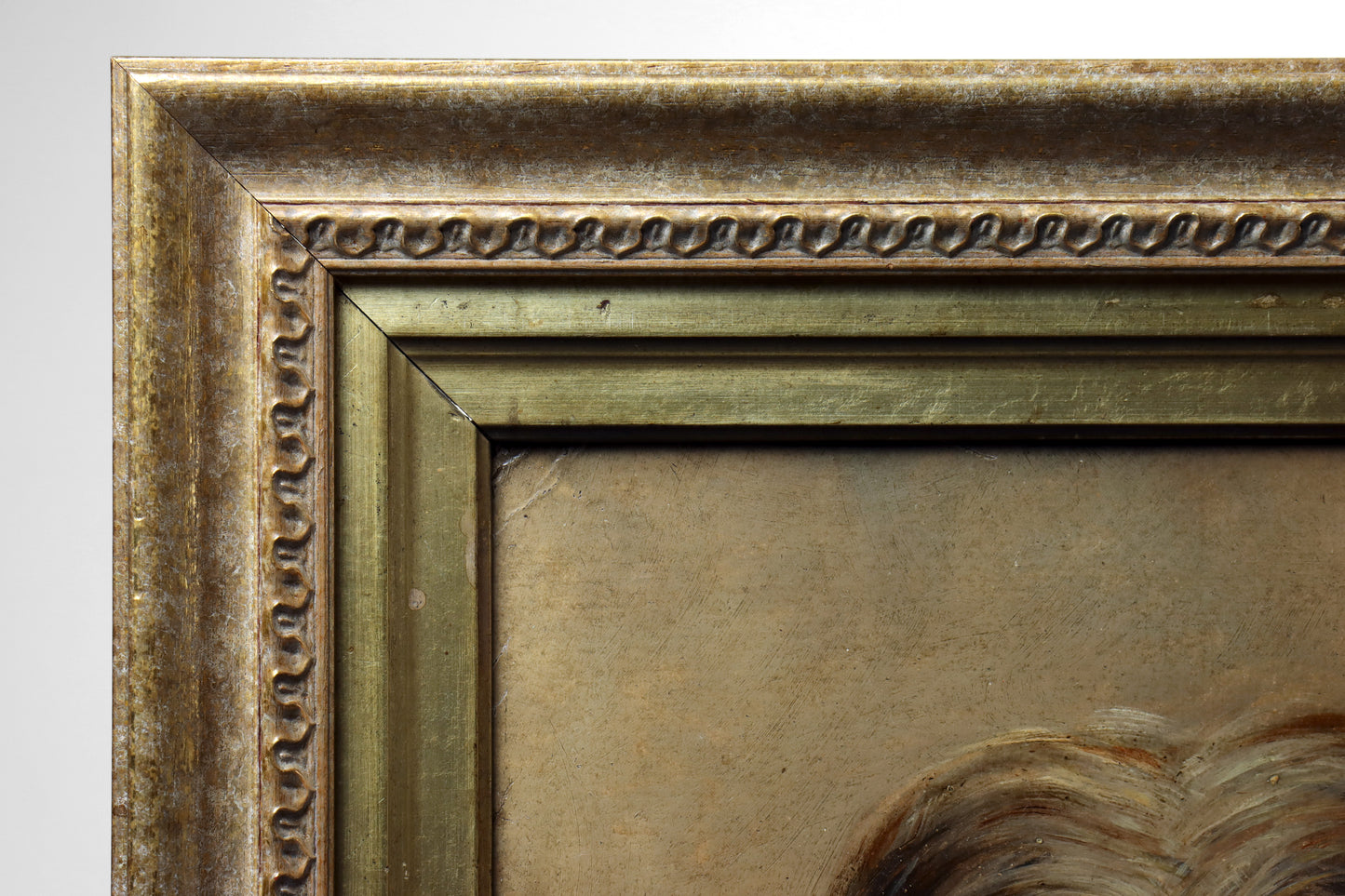 Portrait of a Long-Haired Terrier