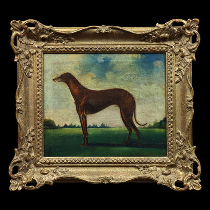Portrait of a Greyhound