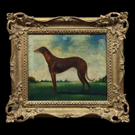 Portrait of a Greyhound
