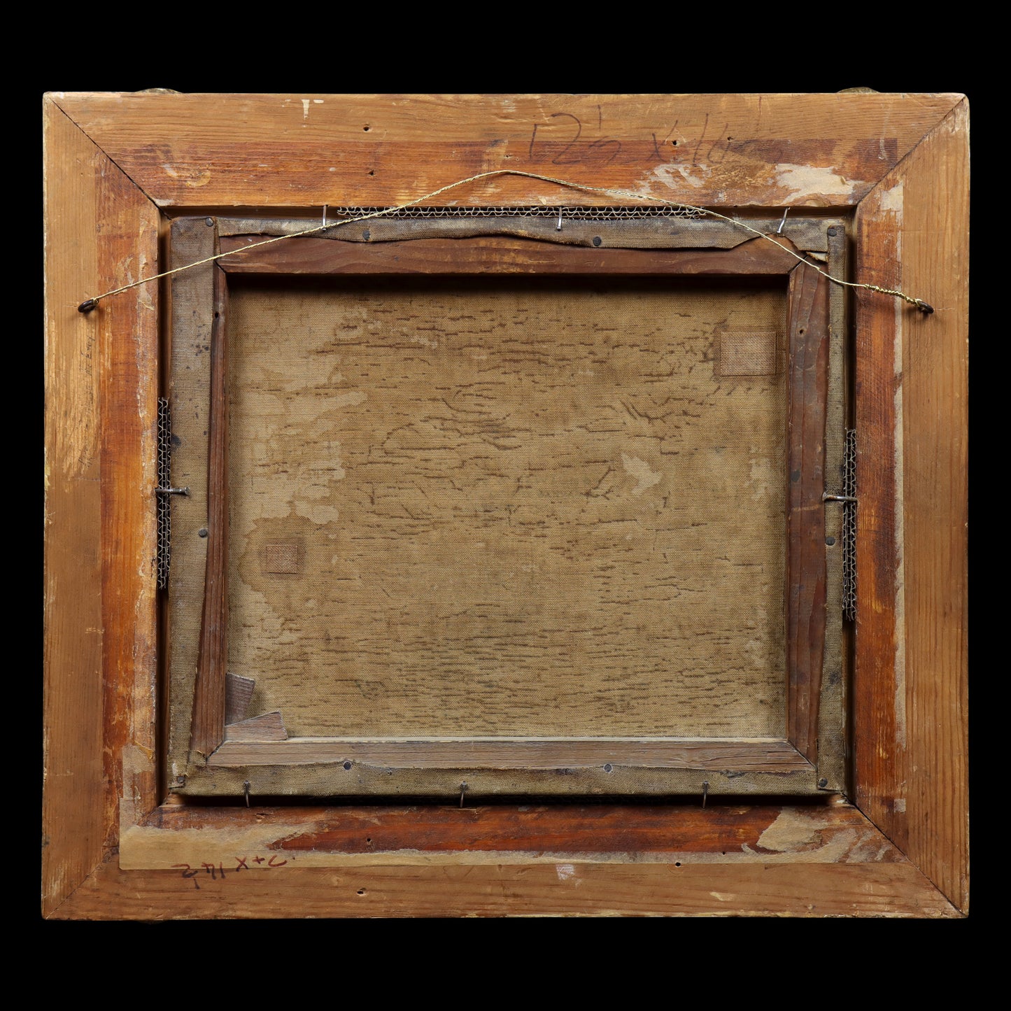 Portrait of a Greyhound