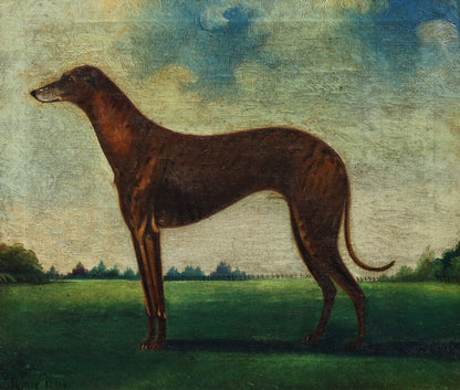 Portrait of a Greyhound