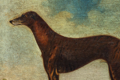 Portrait of a Greyhound