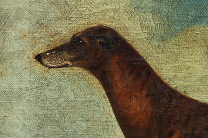 Portrait of a Greyhound