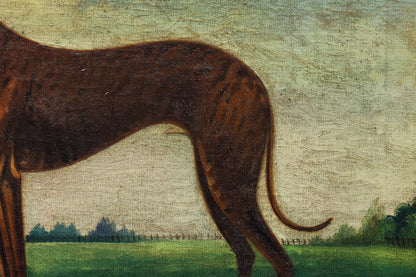 Portrait of a Greyhound