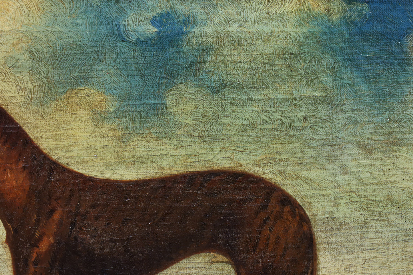 Portrait of a Greyhound