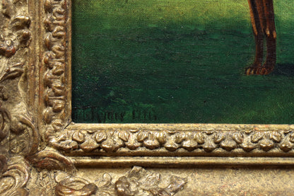 Portrait of a Greyhound