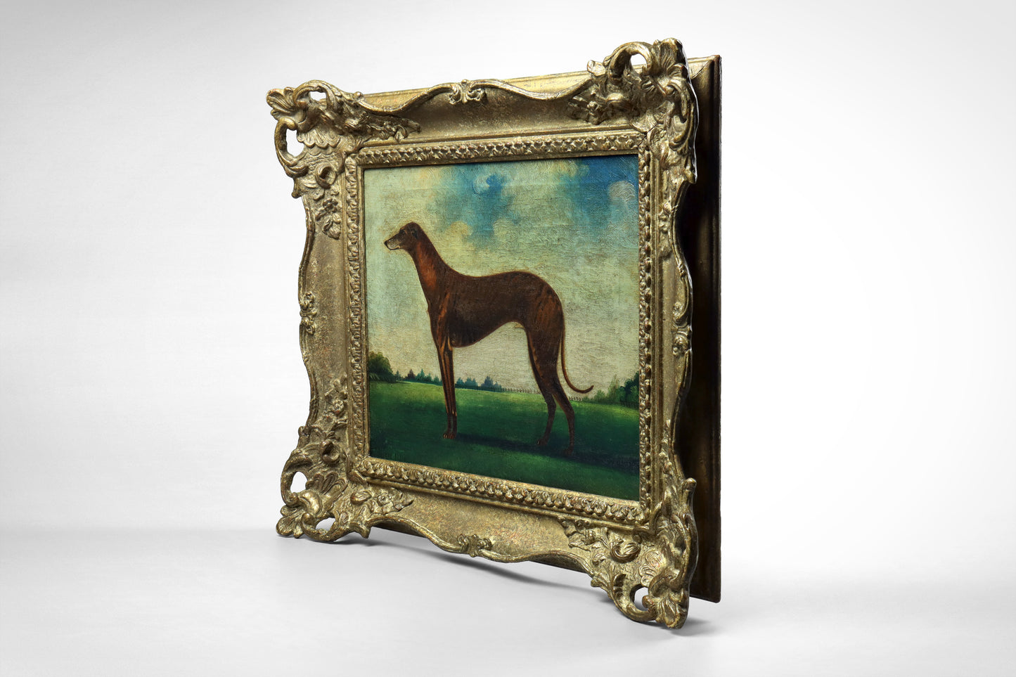 Portrait of a Greyhound