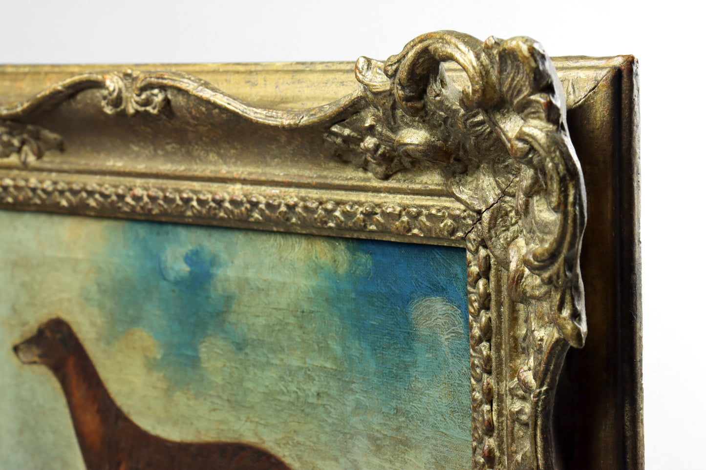 Portrait of a Greyhound