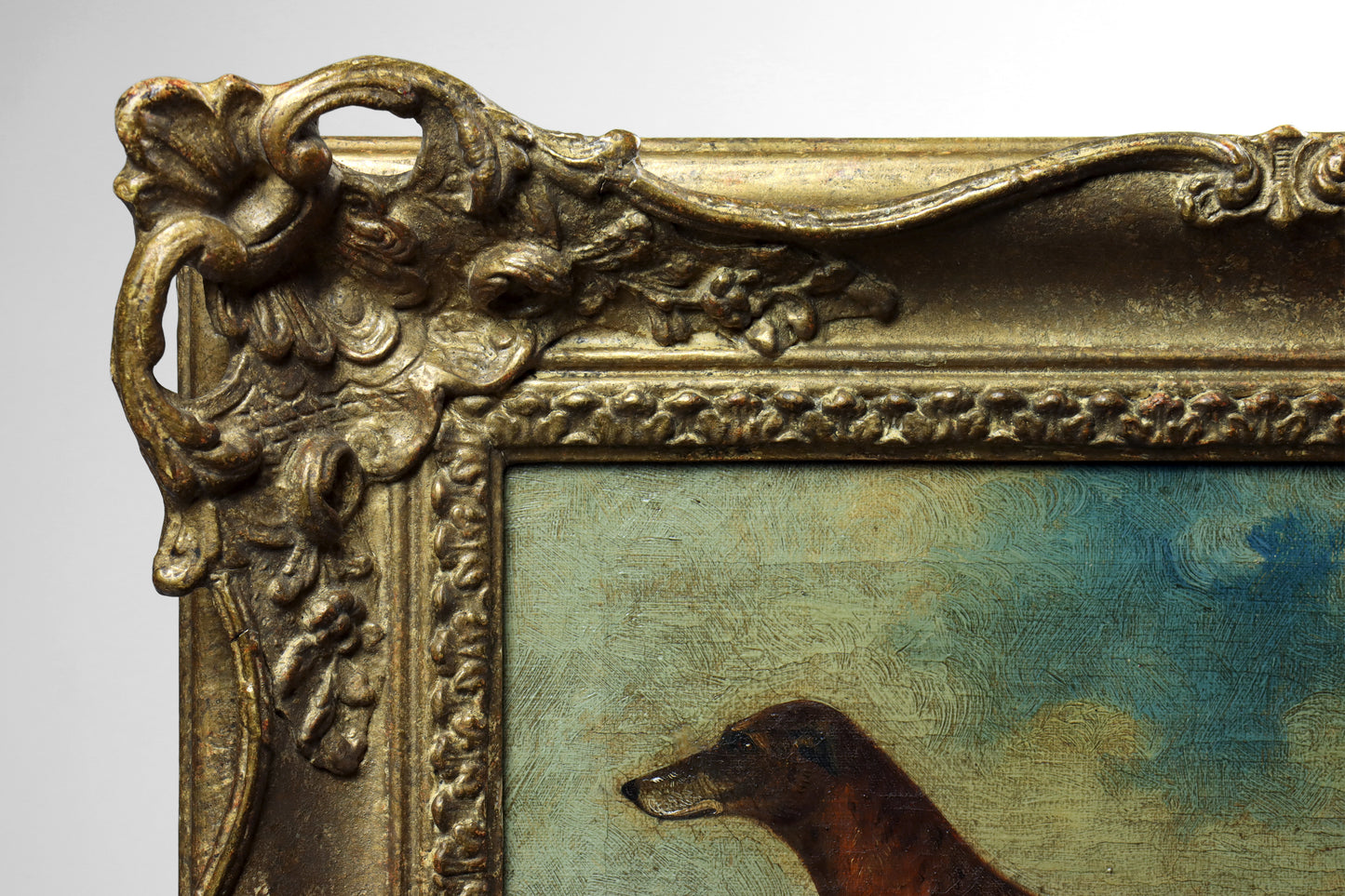 Portrait of a Greyhound