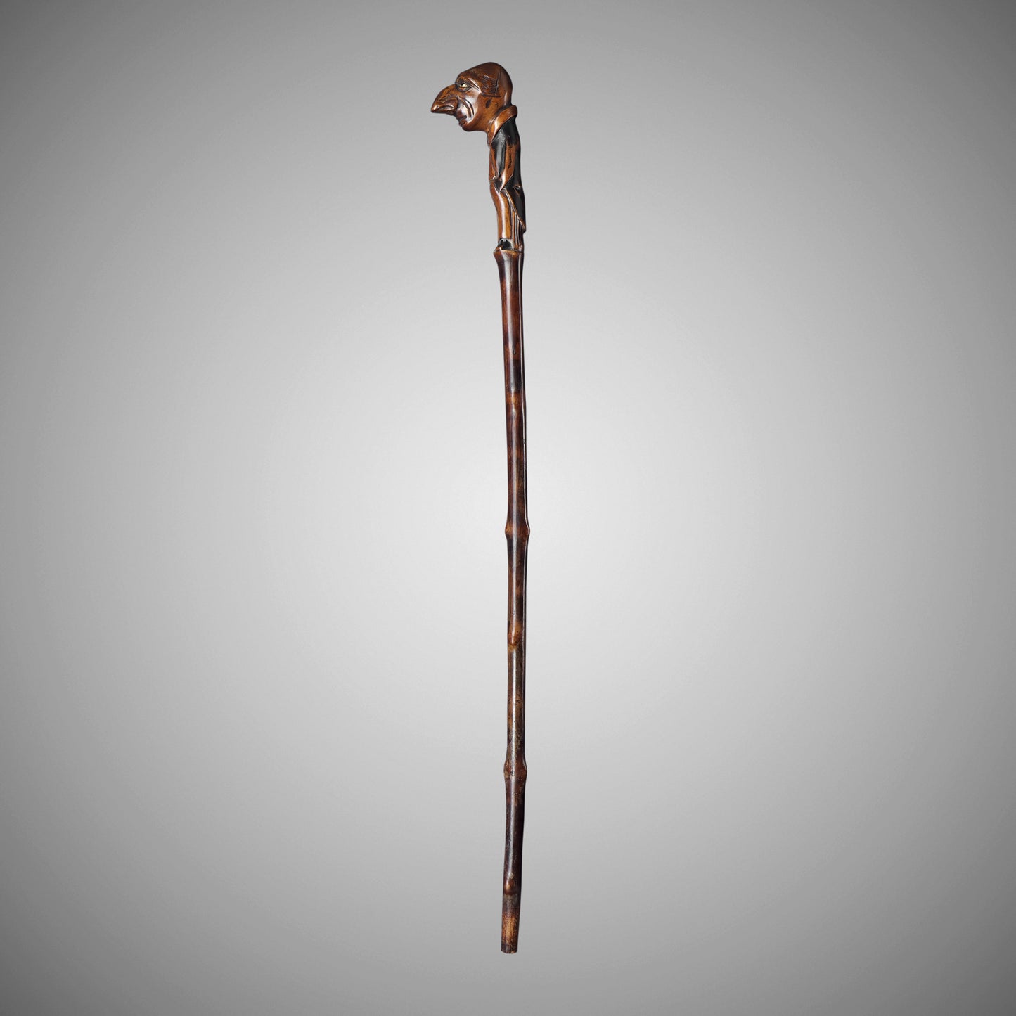 Caricature Walking Stick