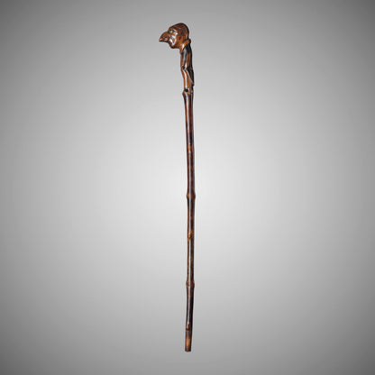 Caricature Walking Stick